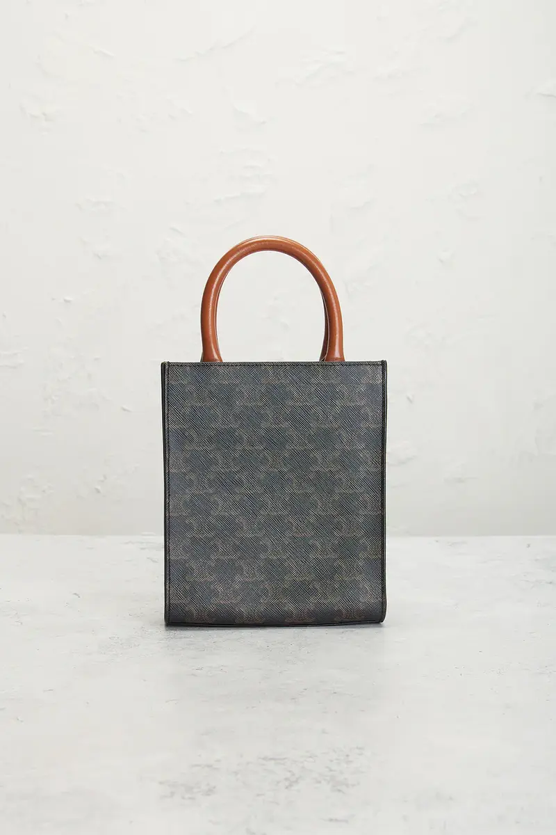 Celine Celine Vertical Cabas Mini Tote Bag | Thumbnail 3