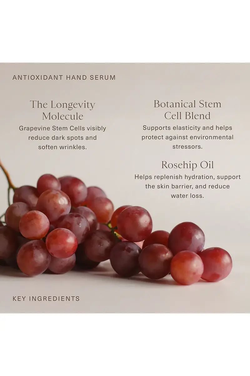 Oak Essentials Antioxidant Hand Serum | Thumbnail 5 Oak Essentials Antioxidant Hand Serum | Thumbnail 5