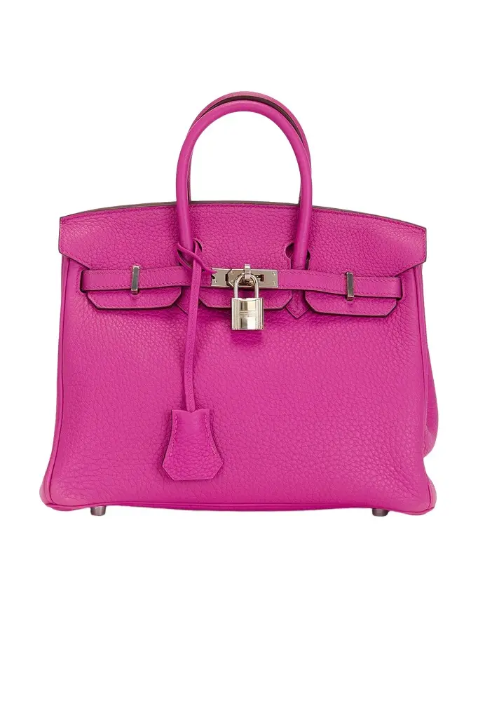Hermes Taurillon Clemence Birkin 25 Retourne Handbag