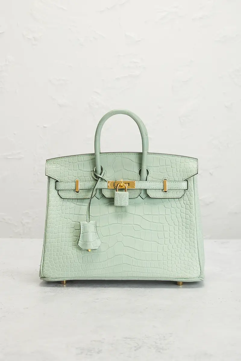 HERMÈS Hermes Matte Alligator Birkin 25 Handbag | Thumbnail 2 HERMÈS Hermes Matte Alligator Birkin 25 Handbag | Thumbnail 2