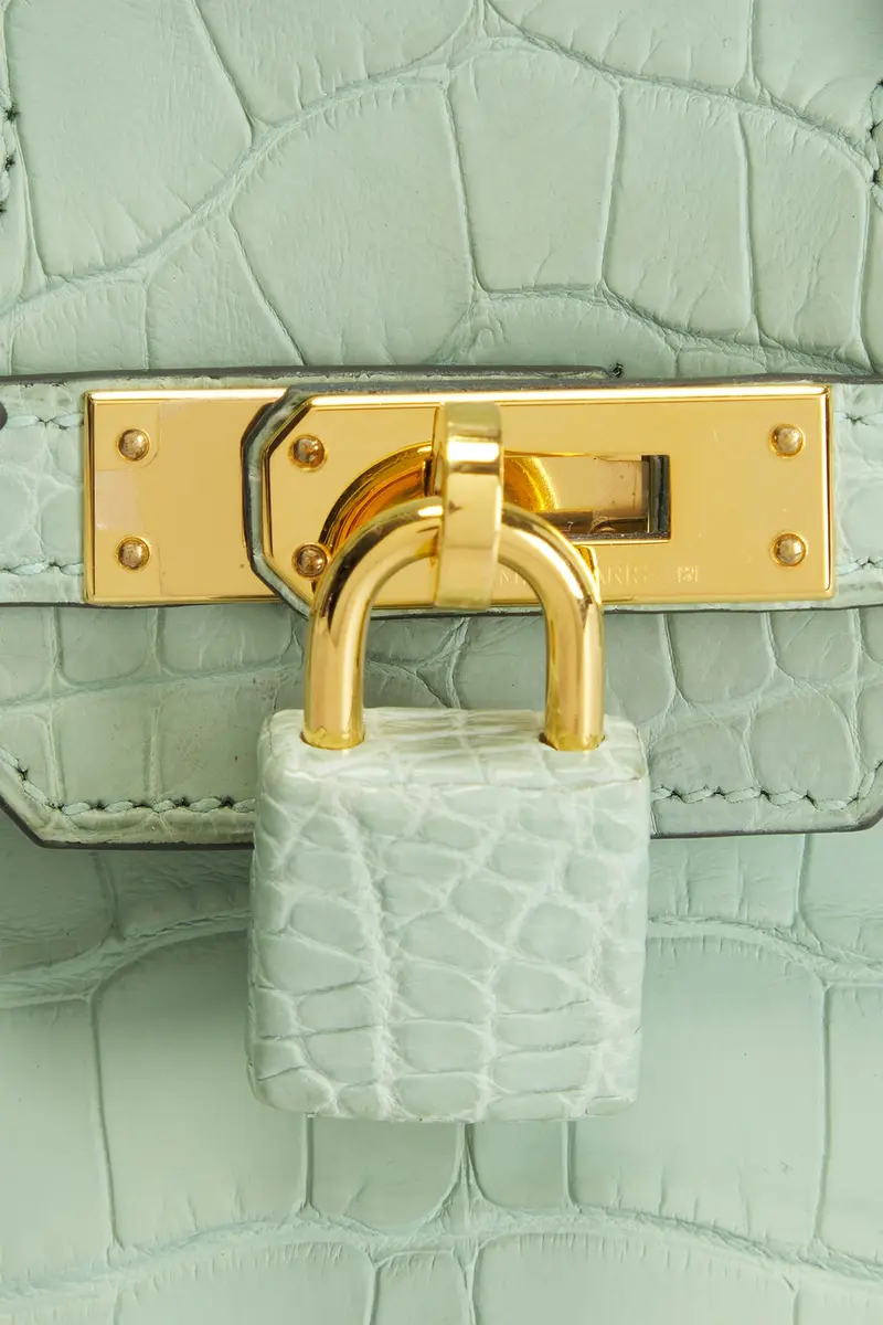 HERMÈS Hermes Matte Alligator Birkin 25 Handbag | Thumbnail 6 HERMÈS Hermes Matte Alligator Birkin 25 Handbag | Thumbnail 6