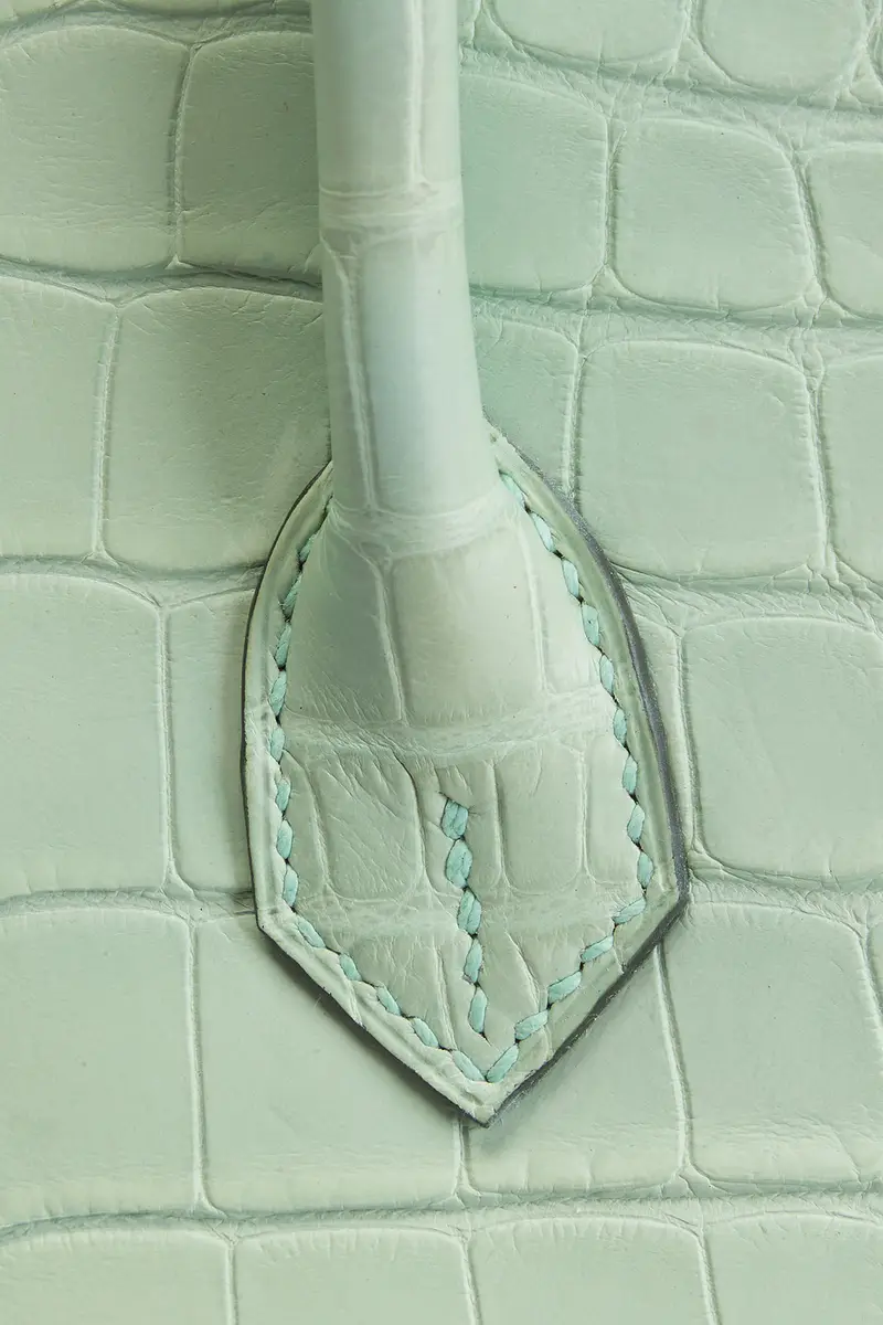 HERMÈS Hermes Matte Alligator Birkin 25 Handbag | Thumbnail 8 HERMÈS Hermes Matte Alligator Birkin 25 Handbag | Thumbnail 8