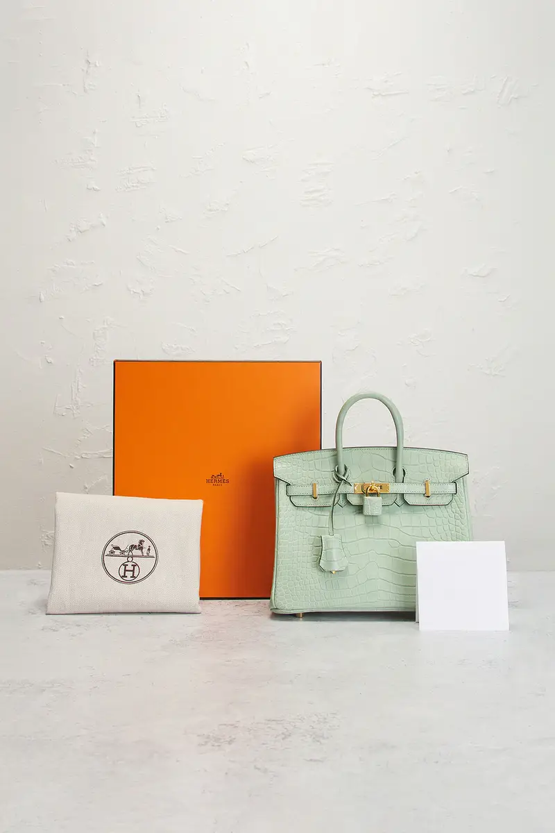 HERMÈS Hermes Matte Alligator Birkin 25 Handbag | Thumbnail 9 HERMÈS Hermes Matte Alligator Birkin 25 Handbag | Thumbnail 9