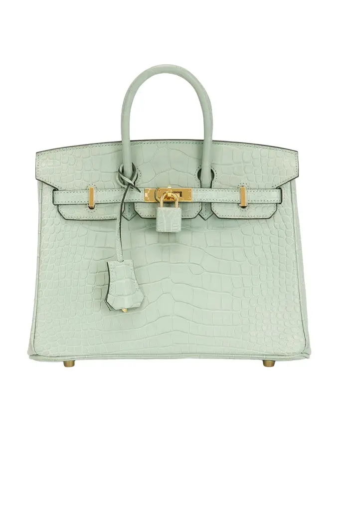 Hermes Matte Alligator Birkin 25 Handbag