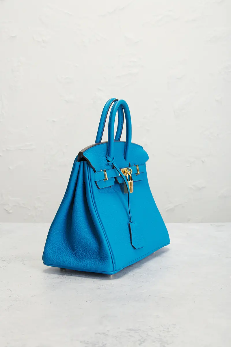 HERMÈS Hermes Togo Birkin 25 Handbag | Thumbnail 4 HERMÈS Hermes Togo Birkin 25 Handbag | Thumbnail 4