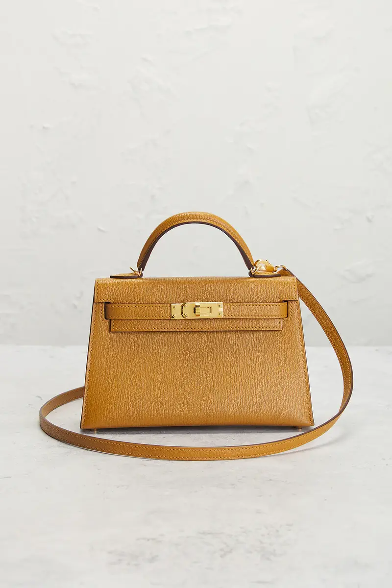 HERMÈS Hermes Chevre Mysore Kelly Verso 20 Sellier Handbag | Thumbnail 2