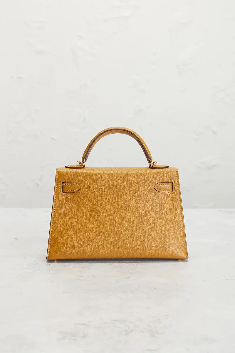 HERMÈS Hermes Chevre Mysore Kelly Verso 20 Sellier Handbag | Thumbnail 3
