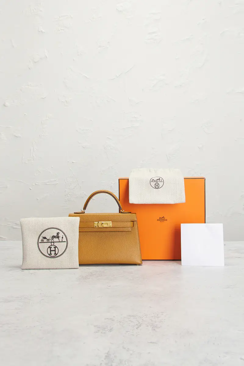 HERMÈS Hermes Chevre Mysore Kelly Verso 20 Sellier Handbag | Thumbnail 7