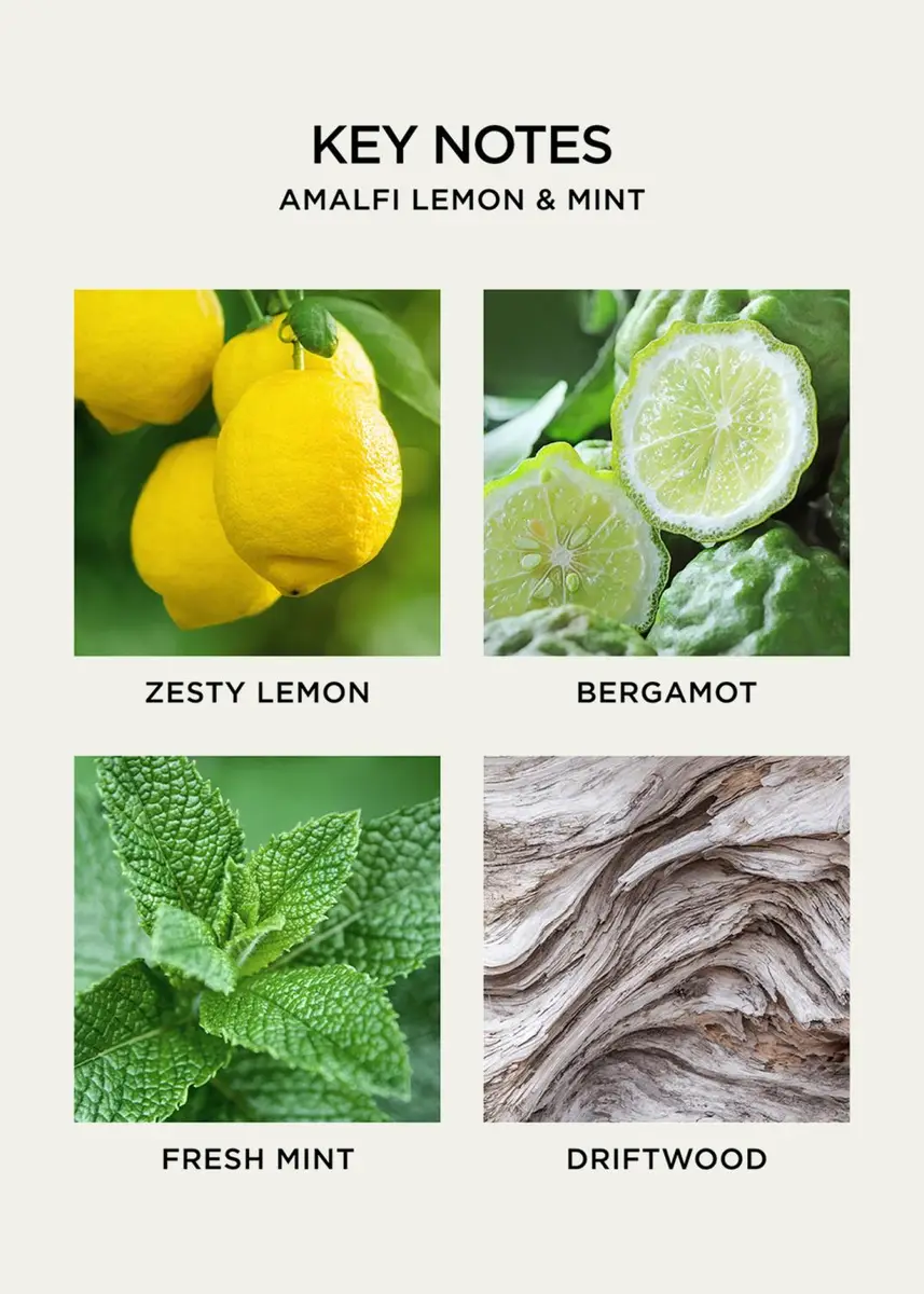 NEST New York 10 oz. Amalfi Lemon and Mint Liquid Soap | Thumbnail 5 NEST New York 10 oz. Amalfi Lemon and Mint Liquid Soap | Thumbnail 5