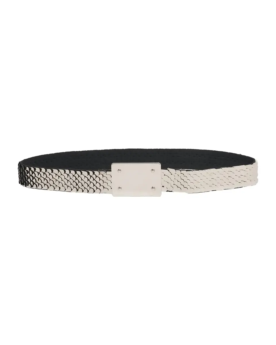 Etoile Isabel Marant Heria Scale-Effect Metal Belt | Thumbnail 3 Etoile Isabel Marant Heria Scale-Effect Metal Belt | Thumbnail 3