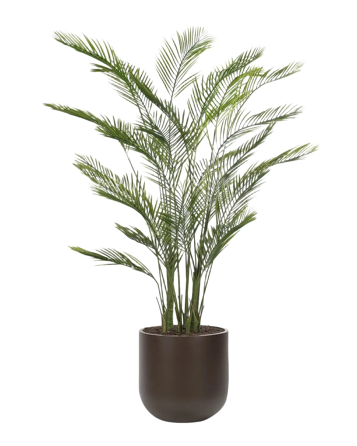 Natural Decorations Areca Palm 84" Faux Tree in Fiberglass Planter
