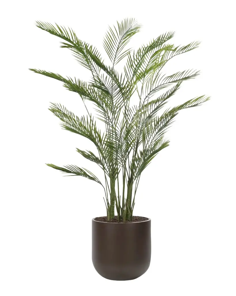 Areca Palm 84" Faux Tree in Fiberglass Planter Areca Palm 84" Faux Tree in Fiberglass Planter