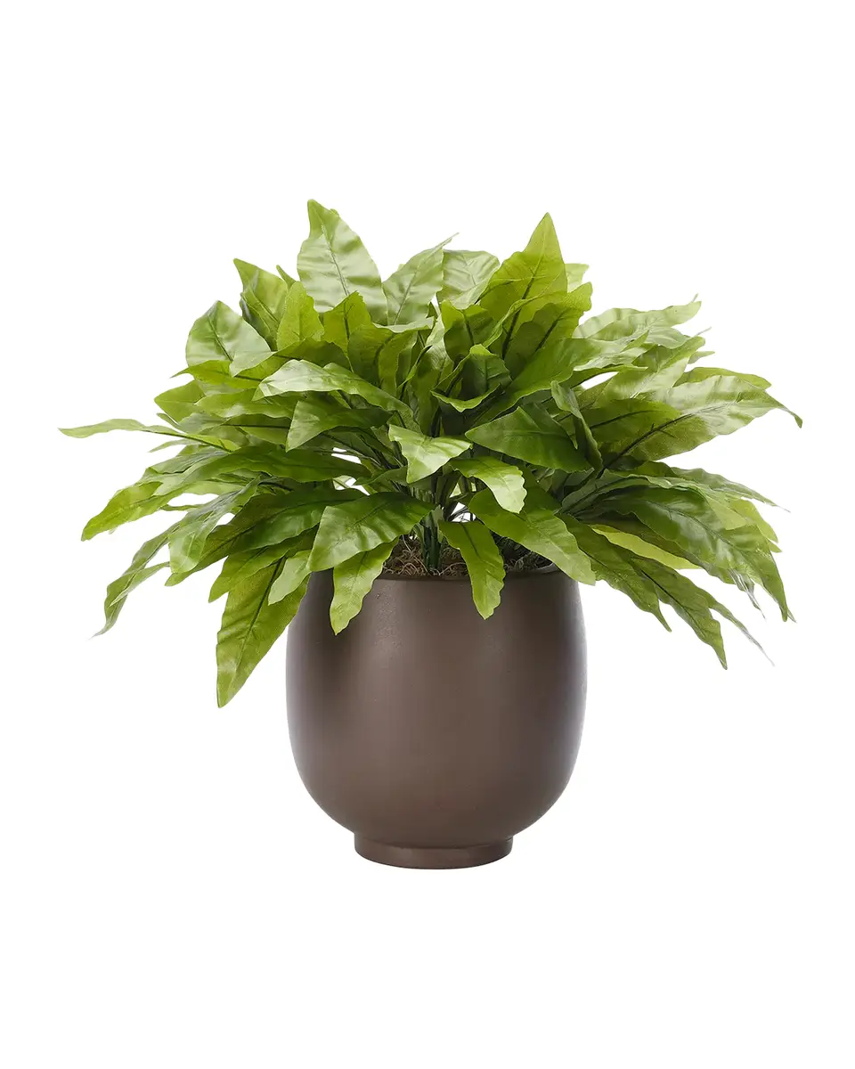 Natural Decorations Bird Nest Fern 59" Faux Plant in Concrete Pot | Thumbnail 2