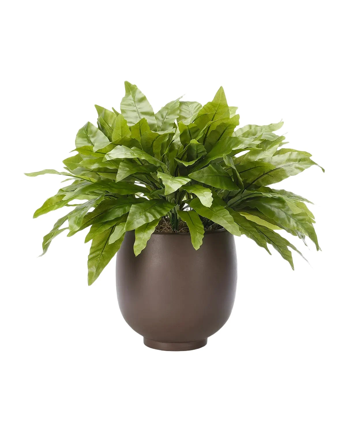 Natural Decorations Bird Nest Fern 59" Faux Plant in Concrete Pot