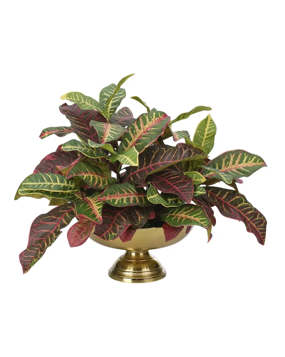 Natural Decorations Croton 15" Faux Plant in Footed Brass Vase | Thumbnail 2 Natural Decorations Croton 15" Faux Plant in Footed Brass Vase | Thumbnail 2