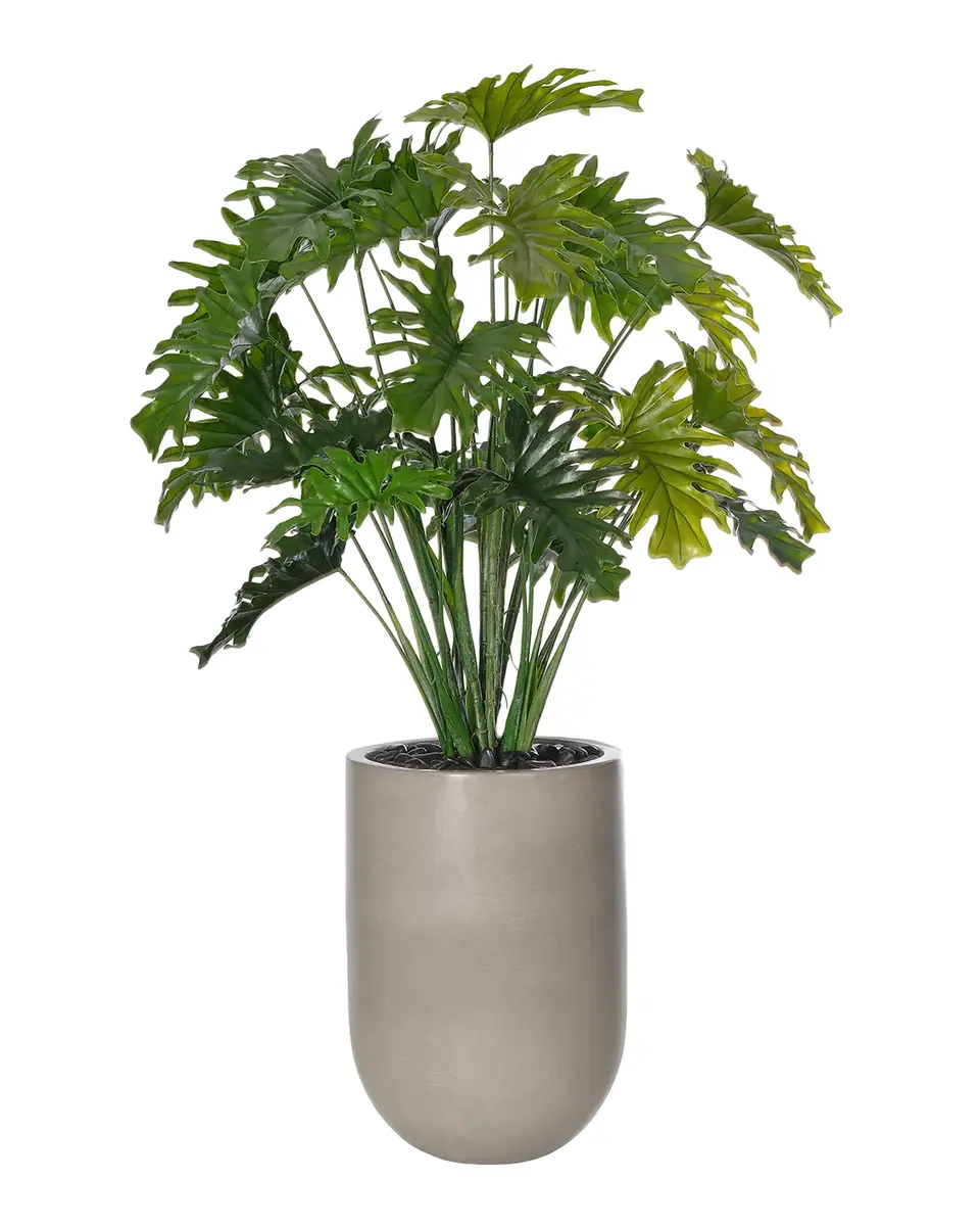 Natural Decorations Split Philodendron 72" Indoor/Outdoor Faux Plant in Concrete Planter | Thumbnail 2 Natural Decorations Split Philodendron 72" Indoor/Outdoor Faux Plant in Concrete Planter | Thumbnail 2
