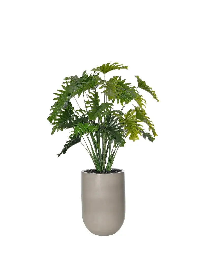 Split Philodendron 72" Indoor/Outdoor Faux Plant in Concrete Planter Split Philodendron 72" Indoor/Outdoor Faux Plant in Concrete Planter
