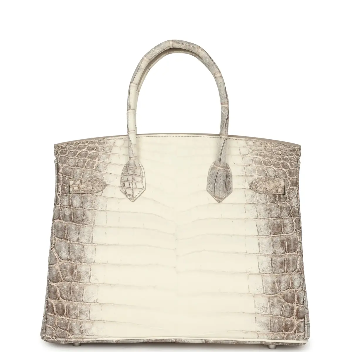 HERMÈS Hermes Birkin 30 Himalaya Niloticus Crocodile Palladium Hardware | Thumbnail 4