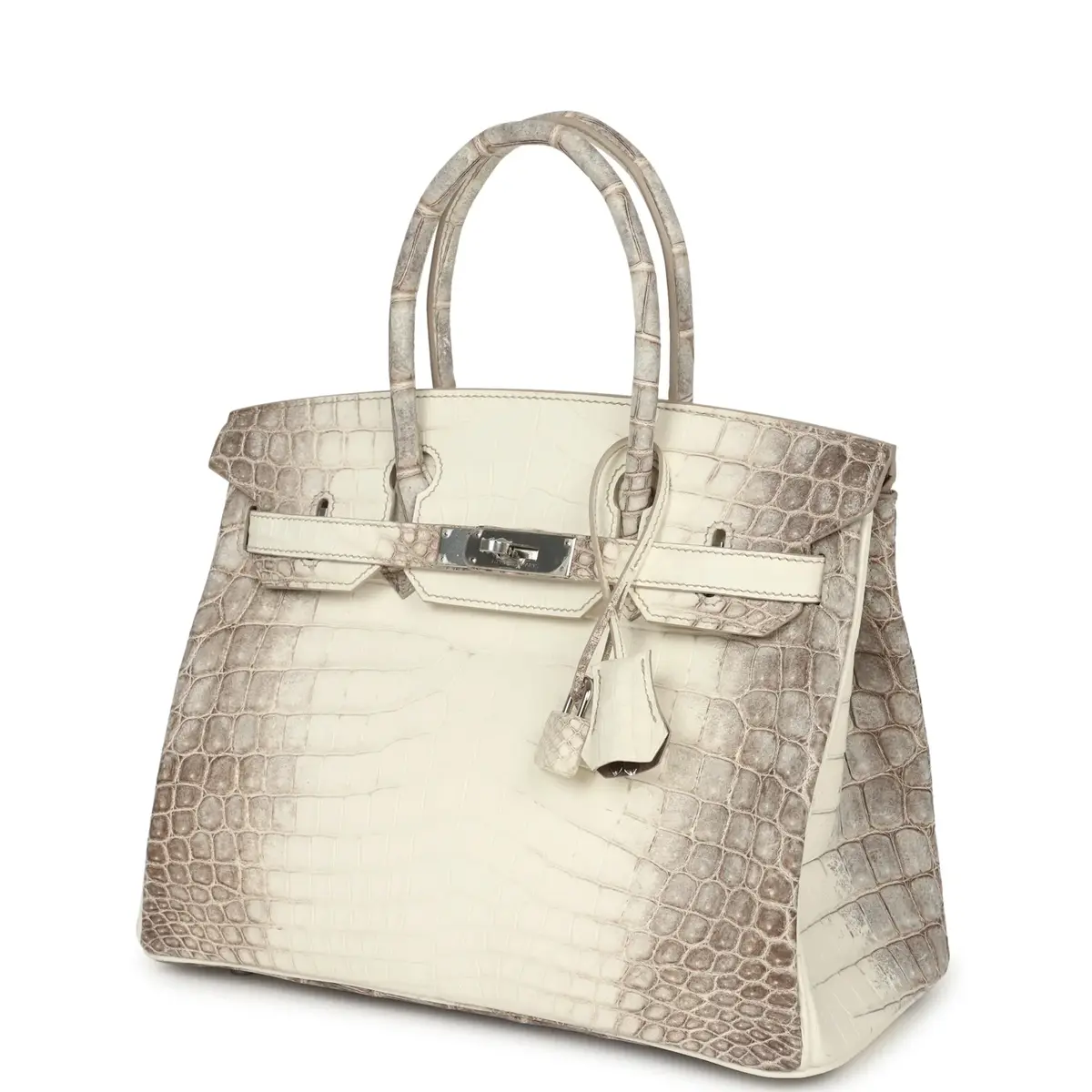 HERMÈS Hermes Birkin 30 Himalaya Niloticus Crocodile Palladium Hardware | Thumbnail 5