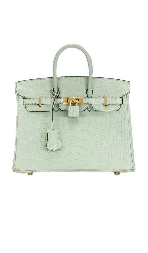 Matte Alligator Birkin 25 Handbag