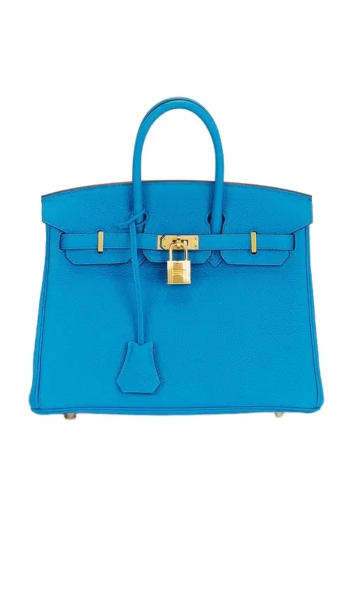 Togo Birkin 25 Handbag