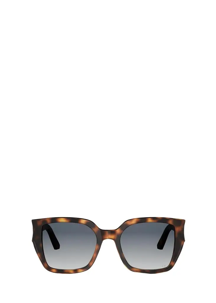 DiorGlow S1I 53MM Square Sunglasses DiorGlow S1I 53MM Square Sunglasses