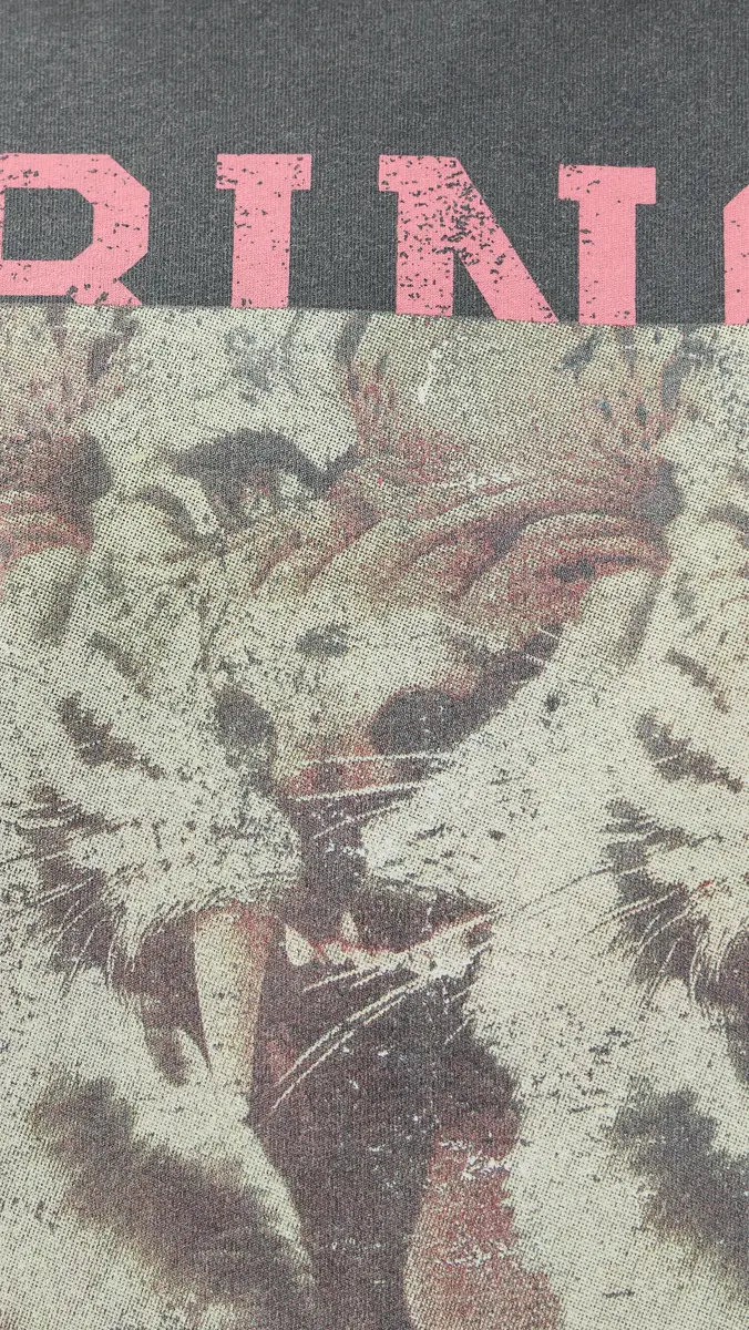 Anine Bing Cade Tiger Bing Tee | Thumbnail 6 Anine Bing Cade Tiger Bing Tee | Thumbnail 6
