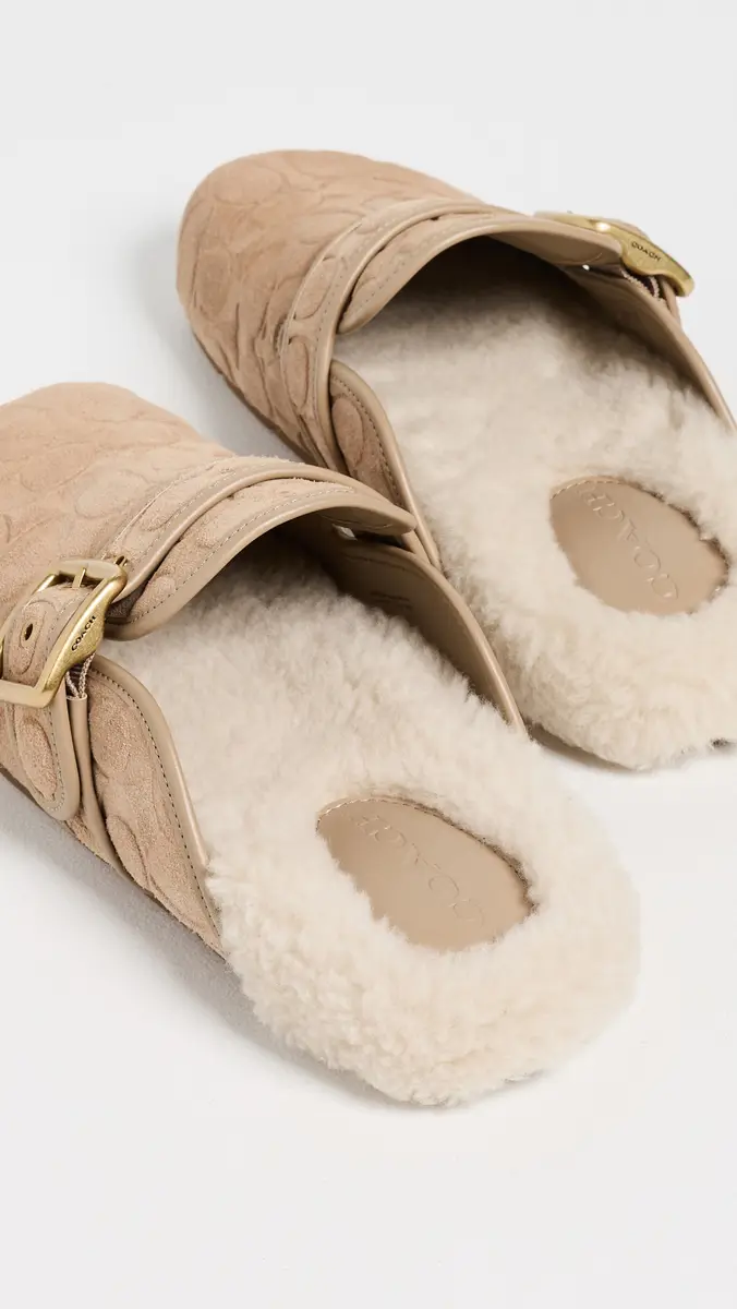 Coach Archival Buckle Clogs | Thumbnail 4 Coach Archival Buckle Clogs | Thumbnail 4