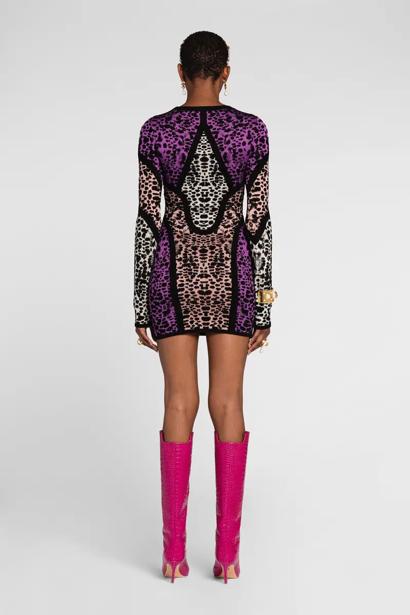 Roberto Cavalli Animal print panelled minidress | Thumbnail 4