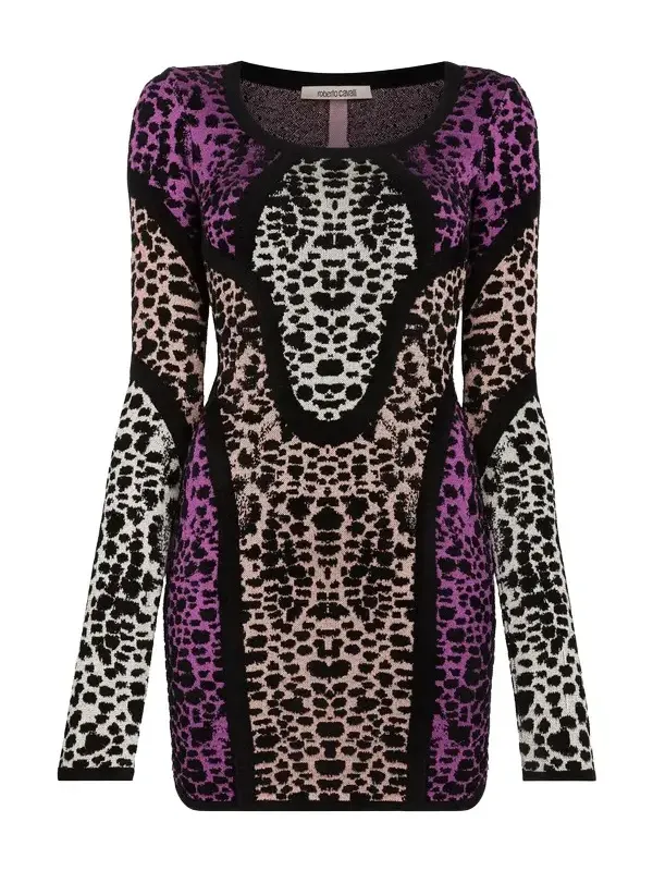 Roberto Cavalli Animal print panelled minidress