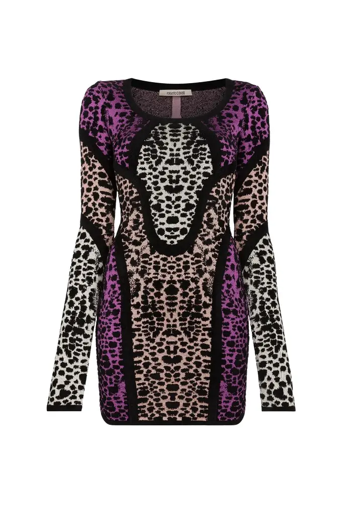 Roberto Cavalli Animal print panelled minidress