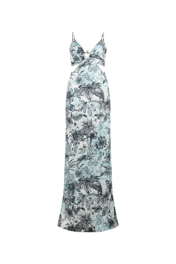 Roberto Cavalli Long Jungle-Print Dress