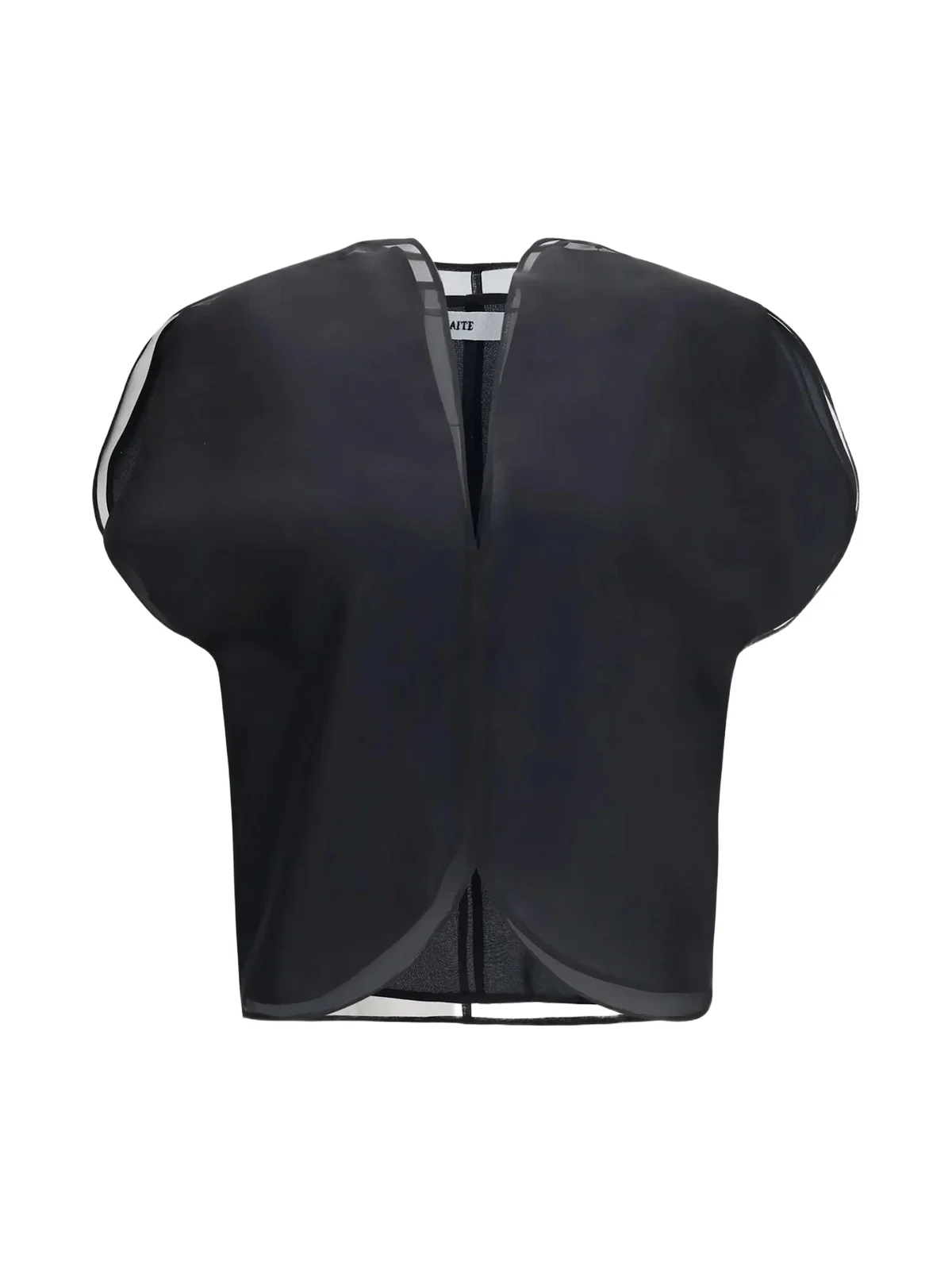 Briar Silk Organza Top Briar Silk Organza Top