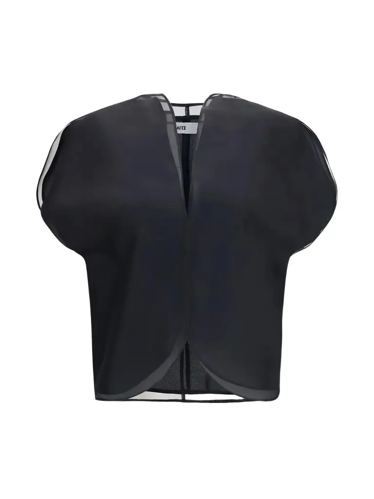 Briar Silk Organza Top Briar Silk Organza Top