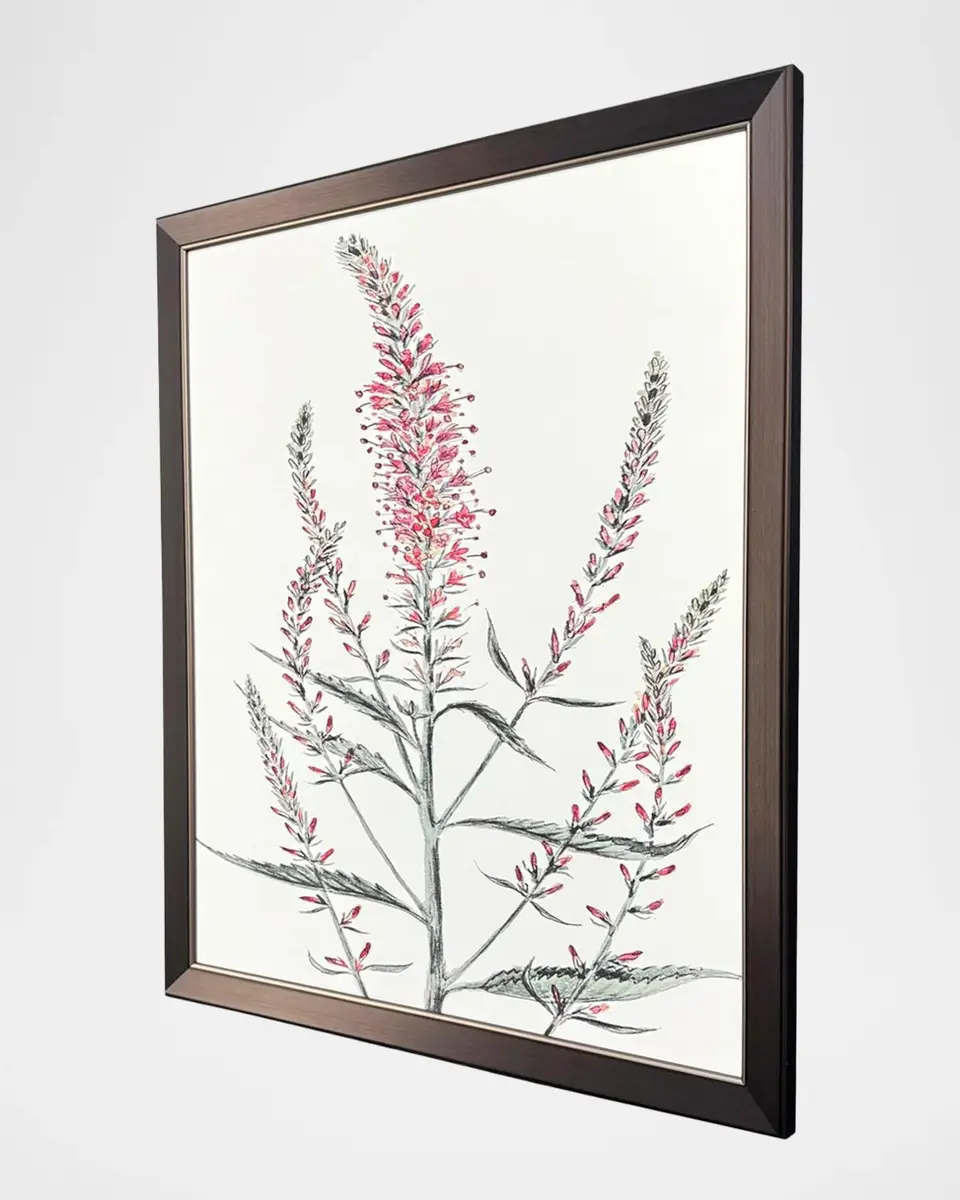 Paragon Decors "Pink Veronique I" Framed Giclee by G Studio | Thumbnail 2 Paragon Decors "Pink Veronique I" Framed Giclee by G Studio | Thumbnail 2
