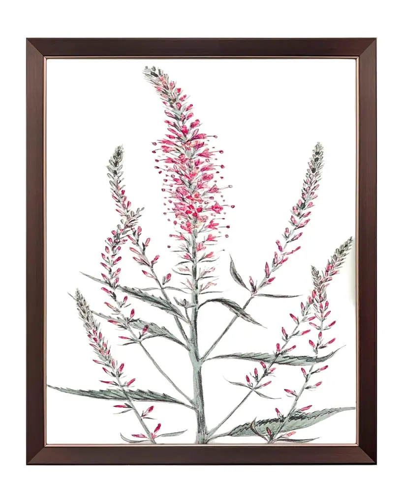 Paragon Decors "Pink Veronique I" Framed Giclee by G Studio