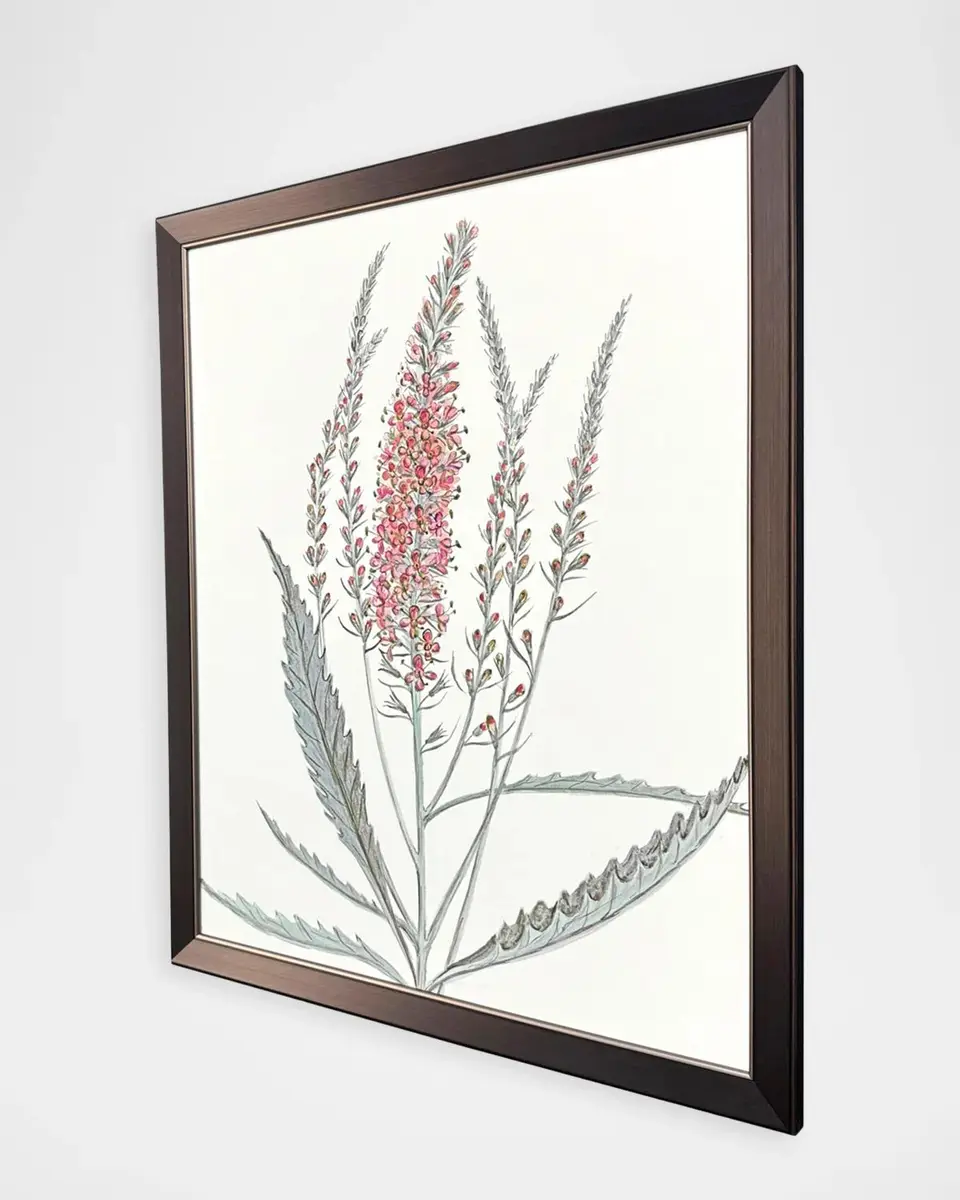 Paragon Decors "Pink Veronique II" Framed Giclee by G Studio | Thumbnail 2 Paragon Decors "Pink Veronique II" Framed Giclee by G Studio | Thumbnail 2