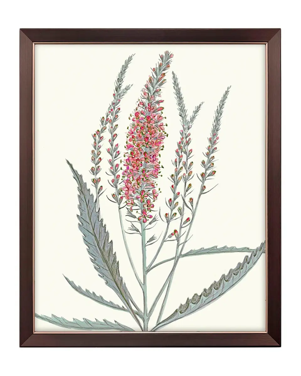 Paragon Decors "Pink Veronique II" Framed Giclee by G Studio | Thumbnail 3 Paragon Decors "Pink Veronique II" Framed Giclee by G Studio | Thumbnail 3