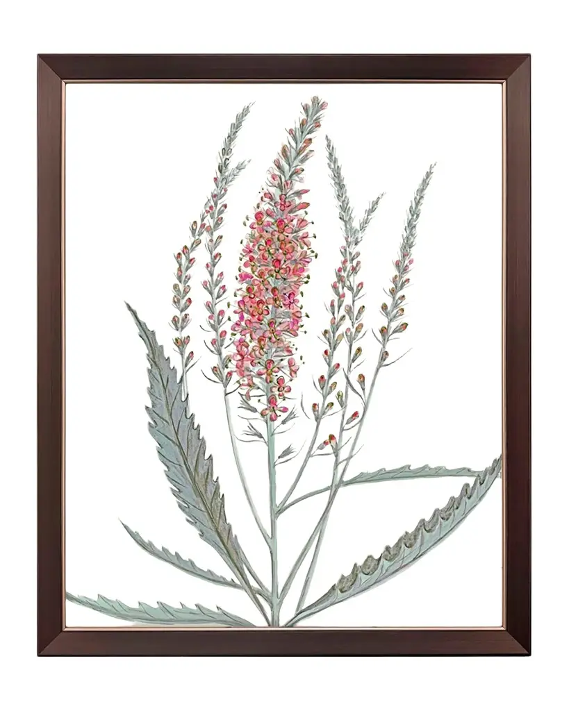 "Pink Veronique II" Framed Giclee by G Studio "Pink Veronique II" Framed Giclee by G Studio