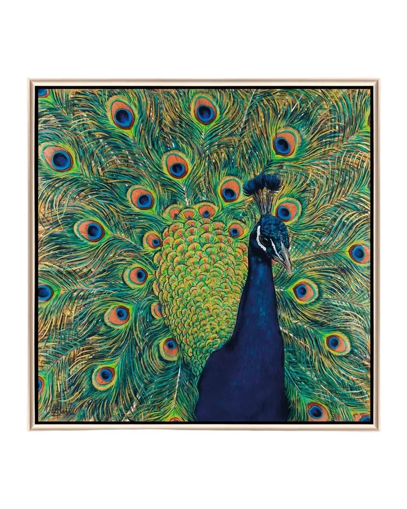 Paragon Decors "Peacock Plumage" Framed Giclee by Banks