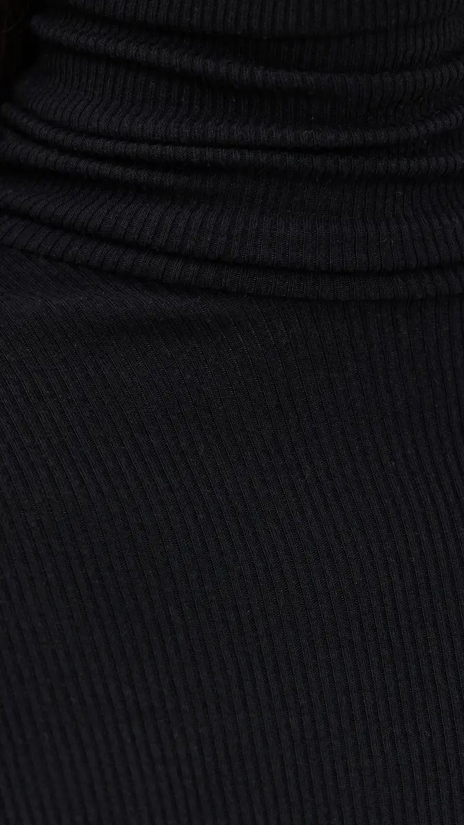 ENZA COSTA Silk Rib Fluid Turtleneck Dress | Thumbnail 6 ENZA COSTA Silk Rib Fluid Turtleneck Dress | Thumbnail 6