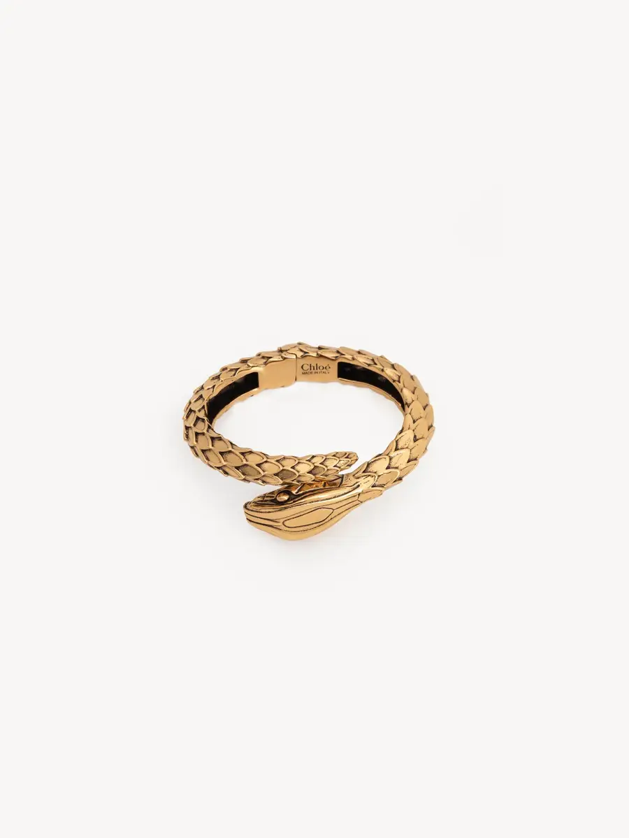 Chloé The Chloé Snake bracelet | Thumbnail 3 Chloé The Chloé Snake bracelet | Thumbnail 3