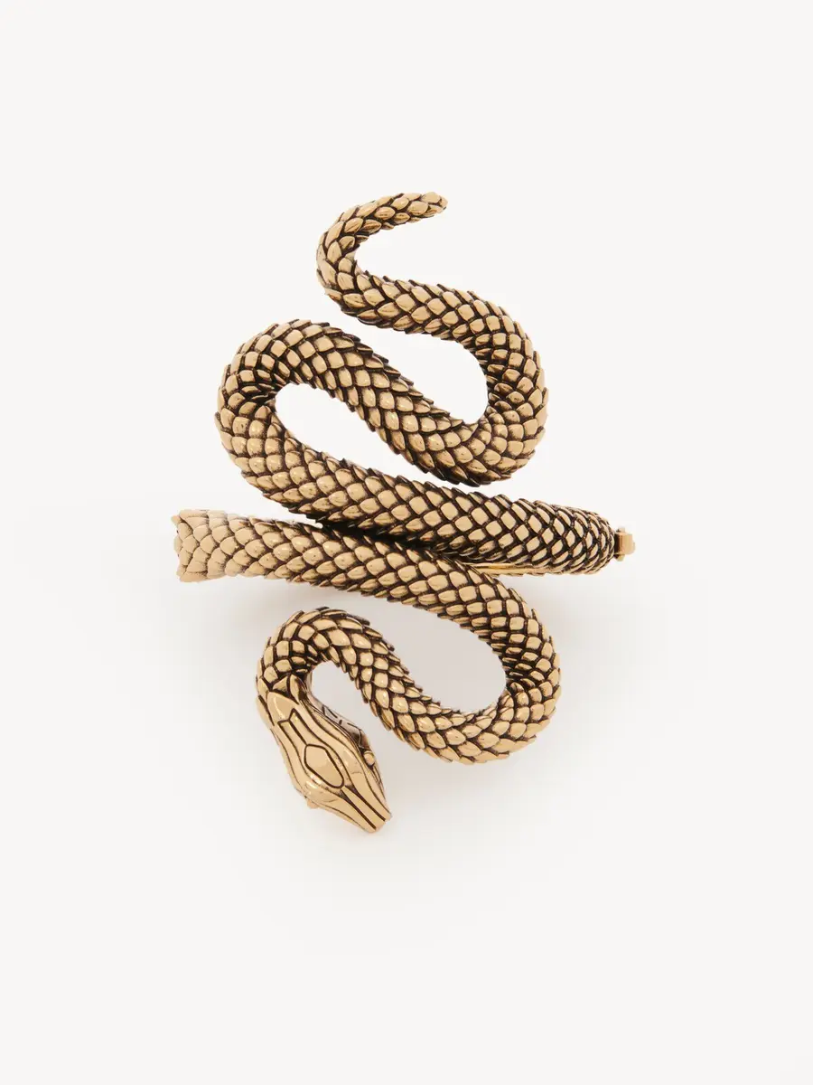 Chloé The Chloé Snake bracelet | Thumbnail 2 Chloé The Chloé Snake bracelet | Thumbnail 2