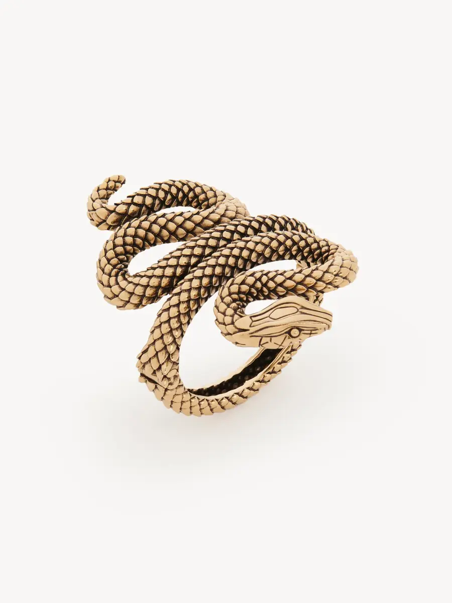 Chloé The Chloé Snake bracelet | Thumbnail 4 Chloé The Chloé Snake bracelet | Thumbnail 4