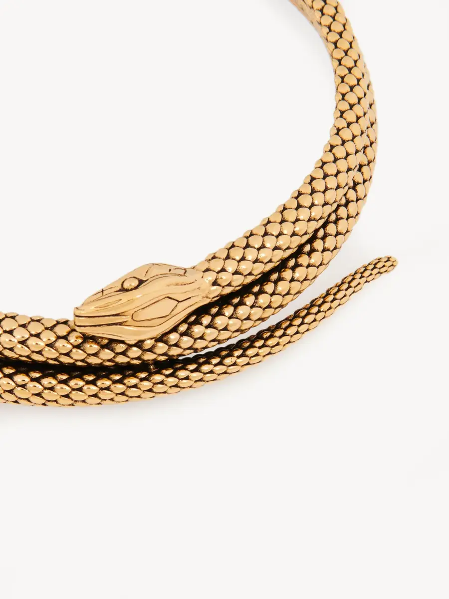 Chloé The Chloé Snake necklace | Thumbnail 4 Chloé The Chloé Snake necklace | Thumbnail 4