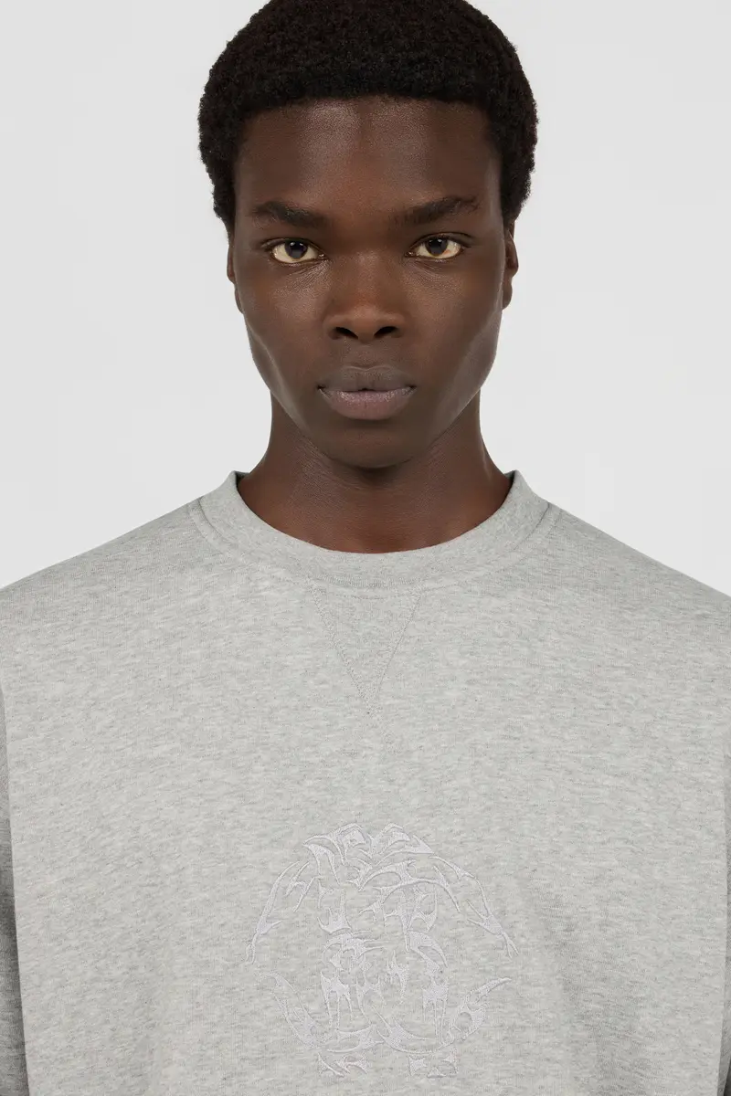 Roberto Cavalli Crewneck Sweatshirt Sweatshirt Grey with Logo | Thumbnail 5