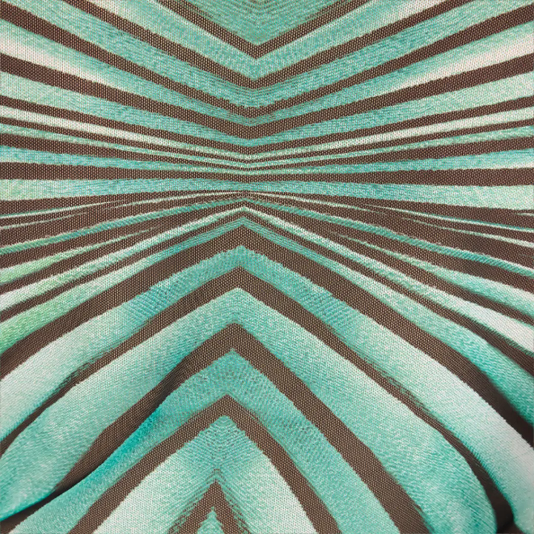 Roberto Cavalli Ray of Sea Print Top | Thumbnail 4