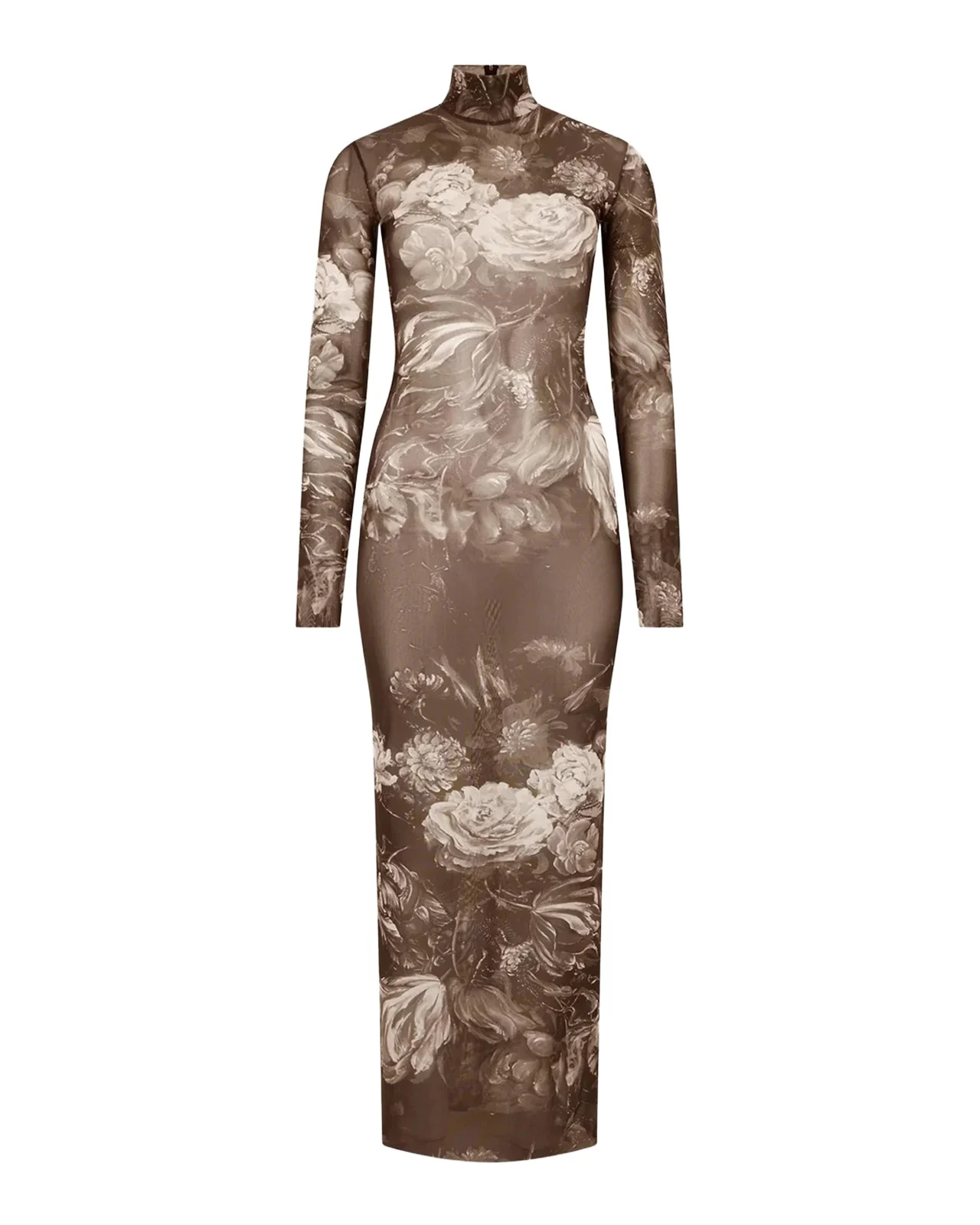 Printed Sheer Maxi Dress Printed Sheer Maxi Dress