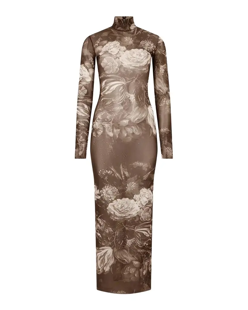 Printed Sheer Maxi Dress Printed Sheer Maxi Dress
