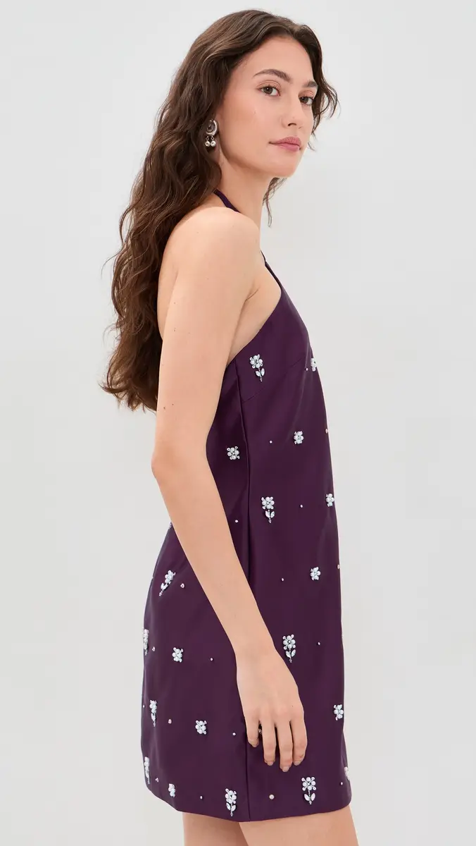 TANYA TAYLOR Bree Dress | Thumbnail 4